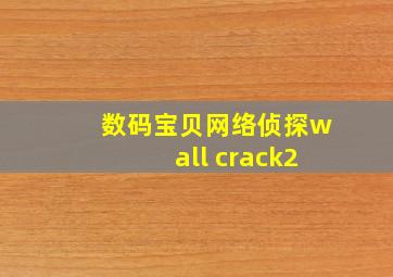 数码宝贝网络侦探wall crack2